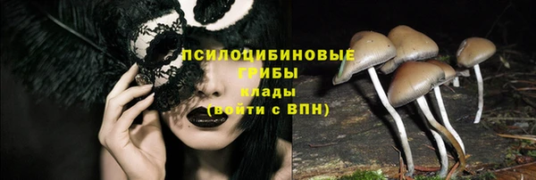 спайс Медвежьегорск