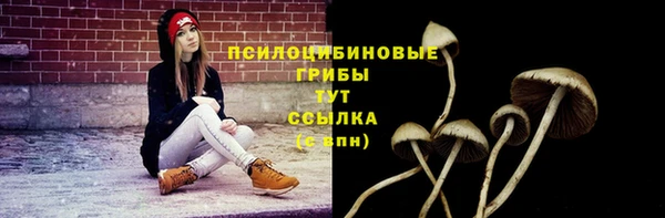 спайс Медвежьегорск