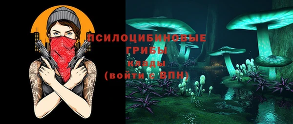 спайс Медвежьегорск
