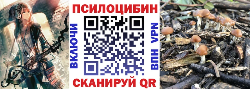 купить наркоту  Новоульяновск  Галлюциногенные грибы прущие грибы 